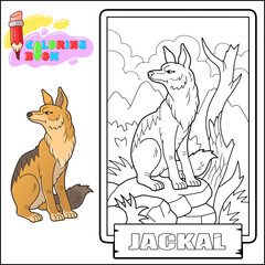 African jackal, outline illustration, coloring page for kids