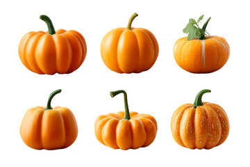 Six orange gourds arranged on a white surface with white background