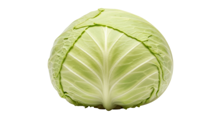 Isolated Green Cabbage
