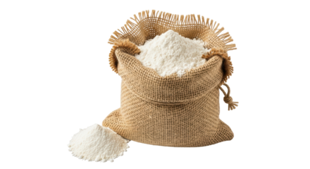 Isolated bag of flour