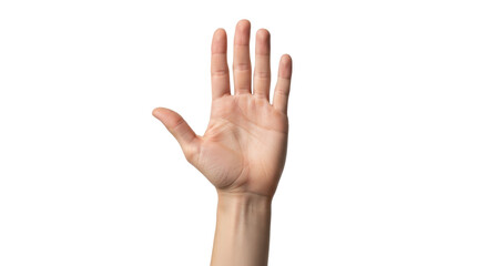 Isolated Hand Gesture