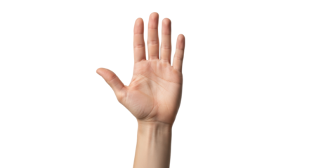 Isolated Hand Gesture