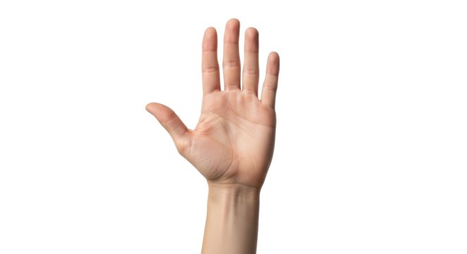 Isolated Hand Gesture