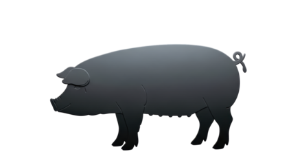 Isolated Black Pig