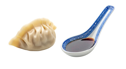 Isolated Dumpling with Soy Sauce