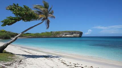 Tropical beach scene with palm tree