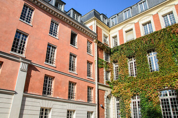immeubles anciens typiques de Paris en France