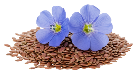 Isolated Flax Seeds and Flax Flowers