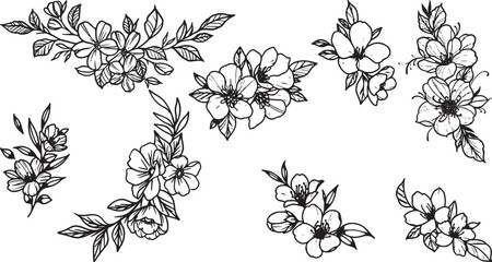 Hand drawn floral branch, blossom, and leaf design element vector illustration set.