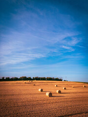 hay bales in the field, Cork, Ireland