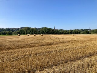 Blick vom Ruhrtalradweg in Menden über das Ruhrtal auf die Stadt Fröndenberg