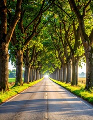 Fototapeta premium Lush Canopy Drive Scenic Road Lined by Towering Trees Under a Bright Sky