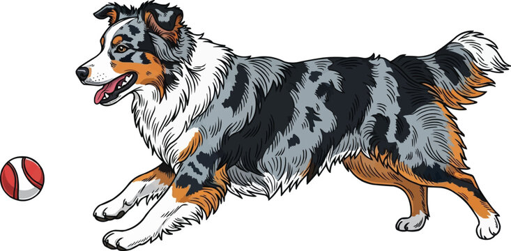 Playful Australian Shepherd dog fetching ball cute vector illustration