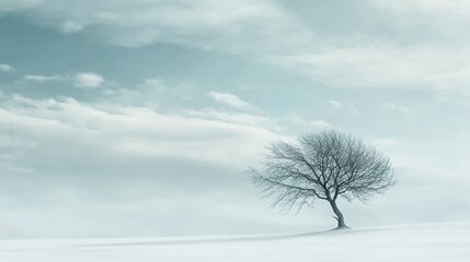 Lonely leafless tree in snowy field during winter day