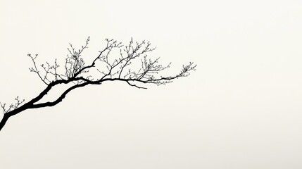 Obraz premium Single large branch of deciduous tree in serene outdoor setting