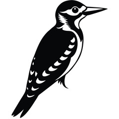 woodpecker vector sihouette