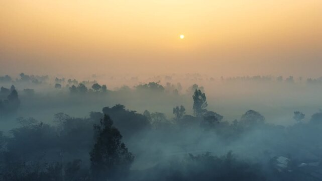 Aerial view of the landscape with layers of trees and mist creating a serene atmosphere under the warm glow of the sun, Bogura, Rajshahi Division, Bangladesh.