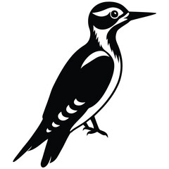 woodpecker vector sihouette