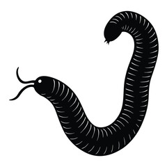 worm vector
