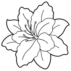 Fototapeta premium Azalea Flower Outline Coloring Page