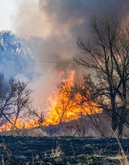 Burning field, dramatic sky