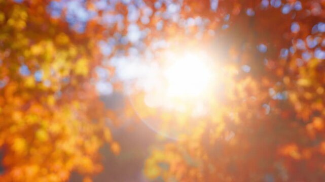 Beautiful autumn foliage illuminated by sun.Defocused autumn background