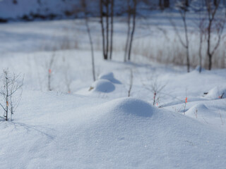 新雪