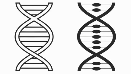 Double helix structures genetic code biology