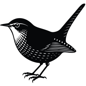 wren vector