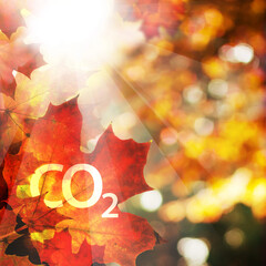 CO2 letters on autumn leaves and bokeh background