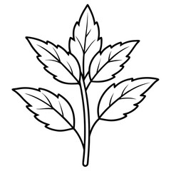 Fototapeta premium Herbal Plant Outline Coloring Page