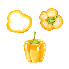 Hand-drawn illustration set of yellow bell peppers. Includes a whole pepper, a half and a slice.
