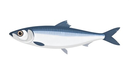 Fototapeta premium Detailed illustration of a streamlined sprat fish showcasing its silvery scales and anatomy