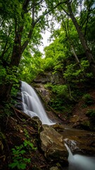 Lush waterfall cascading down rocky terrain in a dense forest