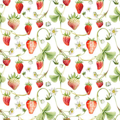 Strawberry berries leaves flowers hanging on vines tendrils creepers, ripe garden pineberry strasberry. Isolated hand drawn watercolor seamless pattern tile. Wallpaper, food packaging, textile cover