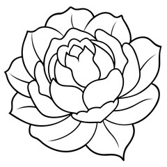 Obraz premium Peony Bloom Line Drawing Coloring Page