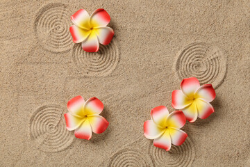 Beautiful plumeria flowers on beige sand with lines as background, closeup