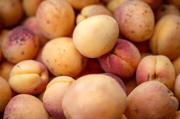 A close-up view of fresh, ripe apricots stacked together