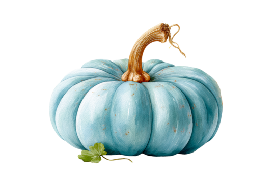 Beautiful blue pumpkin with a unique shape