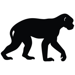 Monkey silhouette