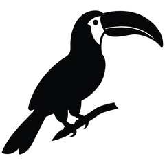 Fototapeta premium toucan bird on a branch
