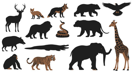 Diverse wildlife collection featuring majestic animals from around the world, great for educational projects © Muflif