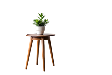 6370 brown side table with vase and plant isolated on a transparent background