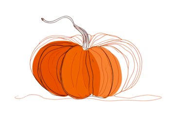 Simple orange pumpkin with line art details on white background