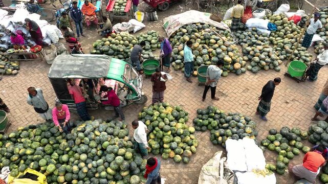 Bogura, Bangladesh - 18 August 2025: Aerial view of a bustling market, brimming with piles of green pumpkins and busy people on a brick ground.