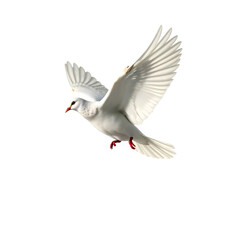 Obraz premium Photo of white pigeon flying isolated on transparent background