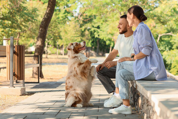 Young couple with Australian Shepherd dog sitting on bench in park