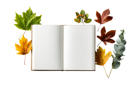 Book amid autumn leaves and greenery