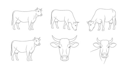 Collection of elegant cow illustrations showcasing different poses and head close-ups for farm branding