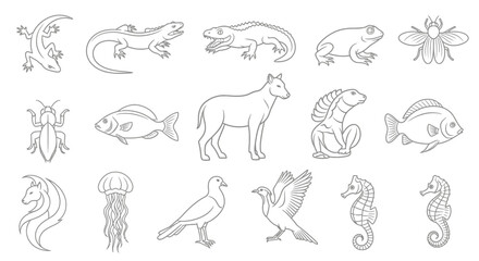 Collection of outline illustrations of various animals and insects.